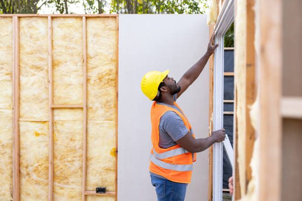 Best Insulation Contractors for Homes  in San Diego, TX