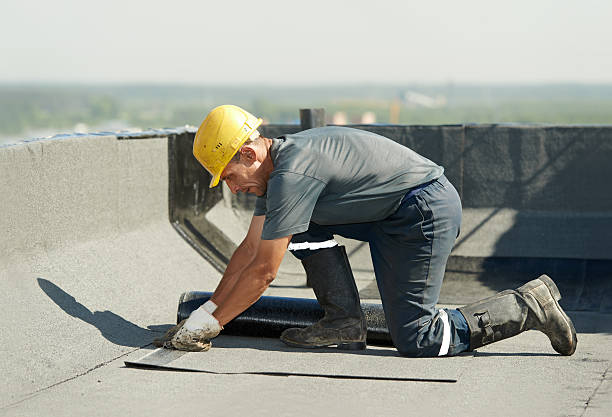 Best Home Insulation Services  in San Diego, TX